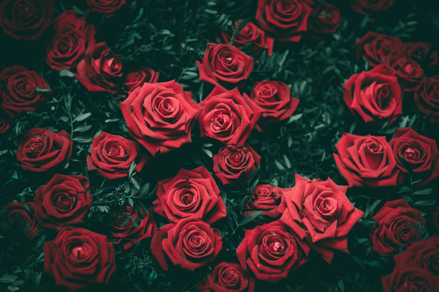 Flores de temporada elegidas para una composición floral